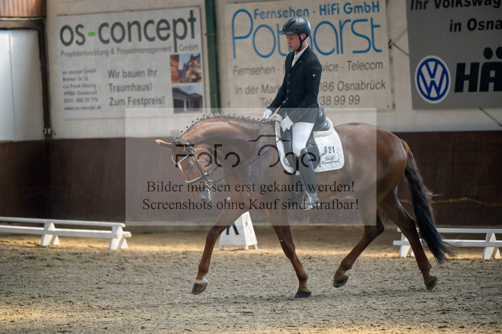 Reitturnier Voxtrup | Entdecke hochwertige Reitturnierfotos von Foto Oger. Professionell, emotional und authentisch – jetzt Lieblingsmomente im Shop bestellen.Deutschlandweite Turnierfotografie. - Realisiert mit Pictrs.com