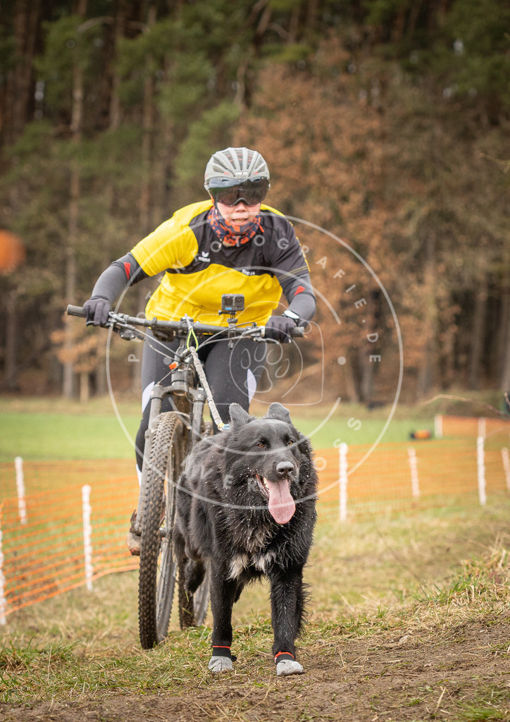 DV3A0910 | Hundefotografie, Tierfotograf, Pfotenfotografie, Fotoshooting Hund, Hunde Portrait, Hundesport, Hundeportraits, Heideshooting, Hunde, Sportfotograf, Hundefotograf, Turnierhundsport, THS,  - Realisiert mit Pictrs.com