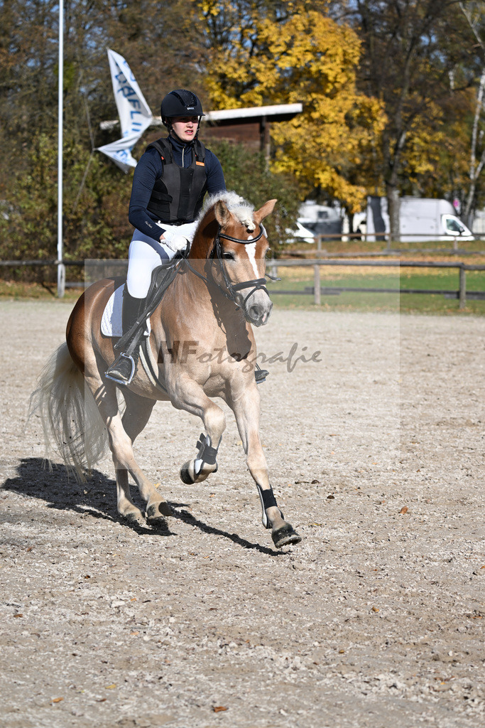 Kat-Nr. 4 Bonfire v. Bon Jovi_Freidhof-Debes_43250605 | hf-fotografie - Realisiert mit Pictrs.com