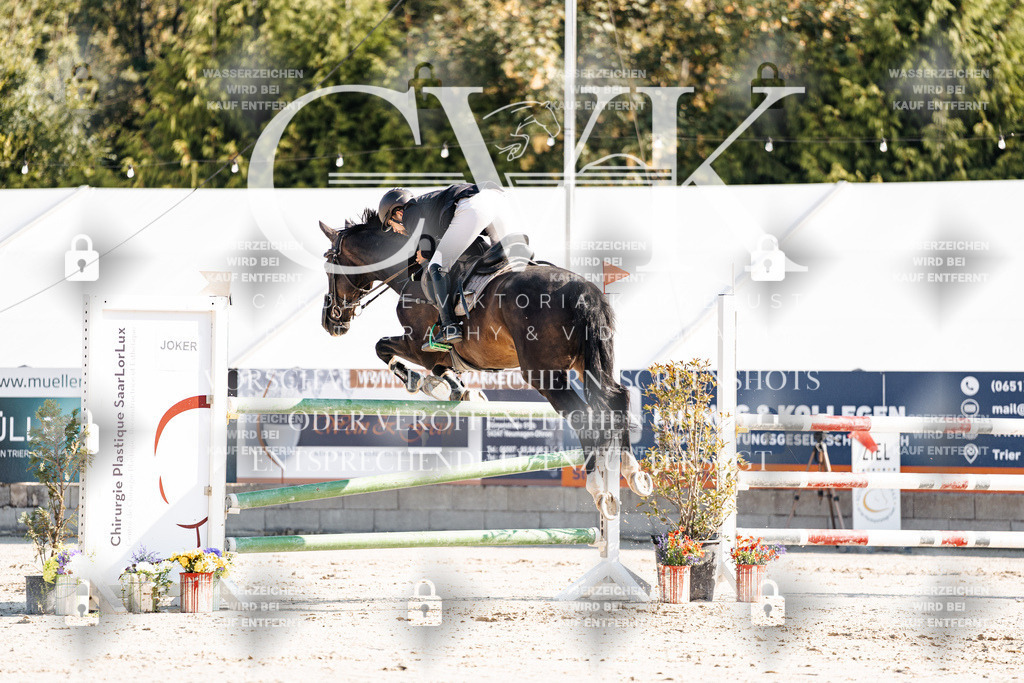 CK901923 | Turnierfotografie Pferdefotografie Trier Rheinland-Pfalz Pferdesport Reitsport Tierfotografie Sportfotografie Pferdevideo Pferdevideografie Equestrianvideography equestrianphotography  - Realisiert mit Pictrs.com