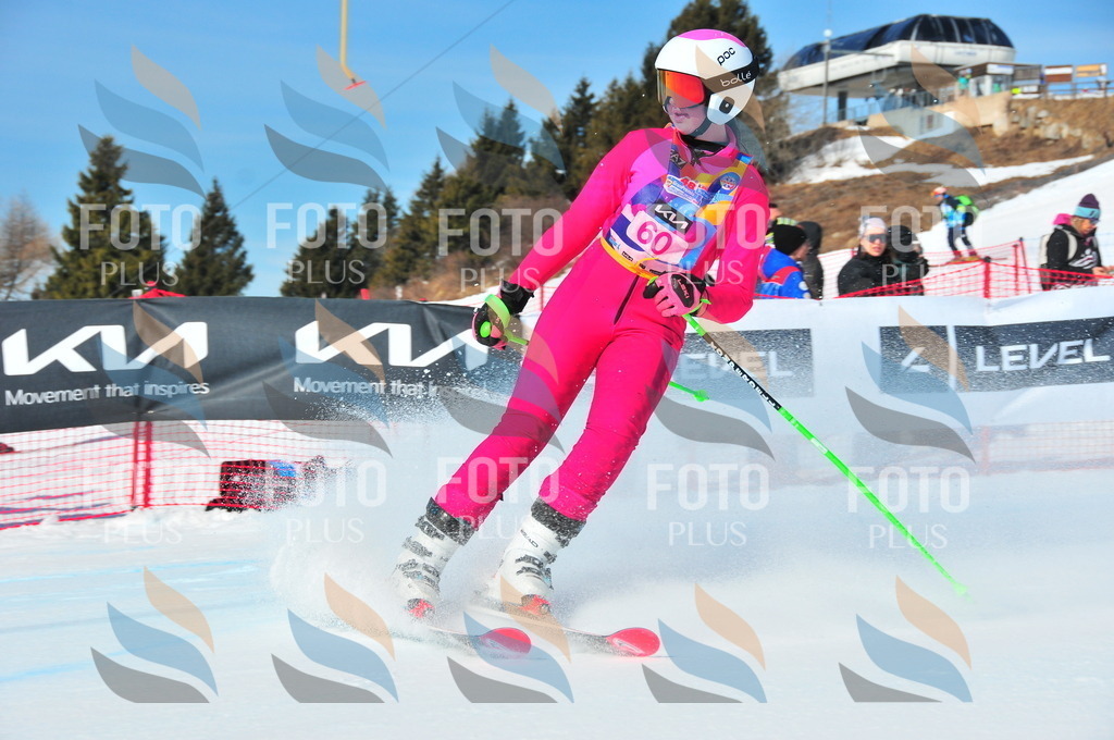 DSC_4191 | holidayphoto