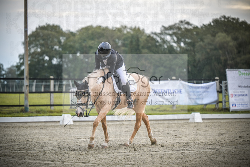 DOS_1071 | Entdecke hochwertige Reitturnierfotos von Foto Oger. Professionell, emotional und authentisch – jetzt Lieblingsmomente im Shop bestellen.Deutschlandweite Turnierfotografie. - Realisiert mit Pictrs.com