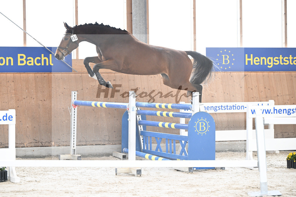 Kat-Nr. 53 Condessa M v. Van Cordoba_Mayer_5251664 | hf-fotografie - Realisiert mit Pictrs.com