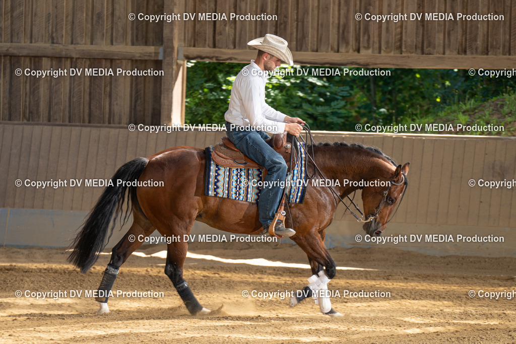 DSC00294 | dv-media-shop - Realisiert mit Pictrs.com