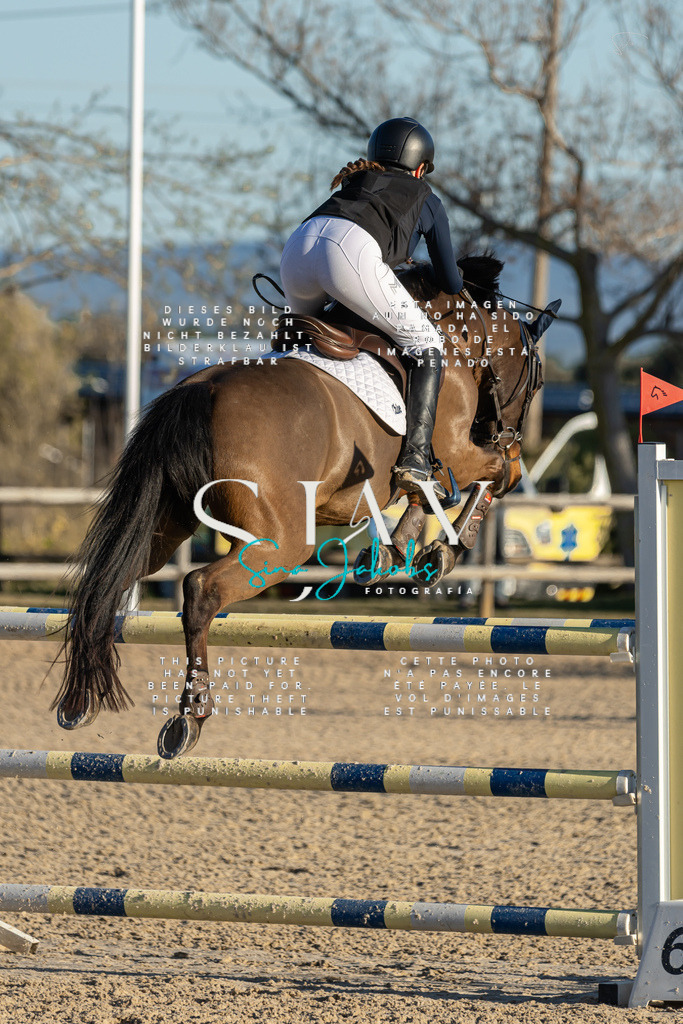 IMG_2455 | s-jay-photography - Realisiert mit Pictrs.com