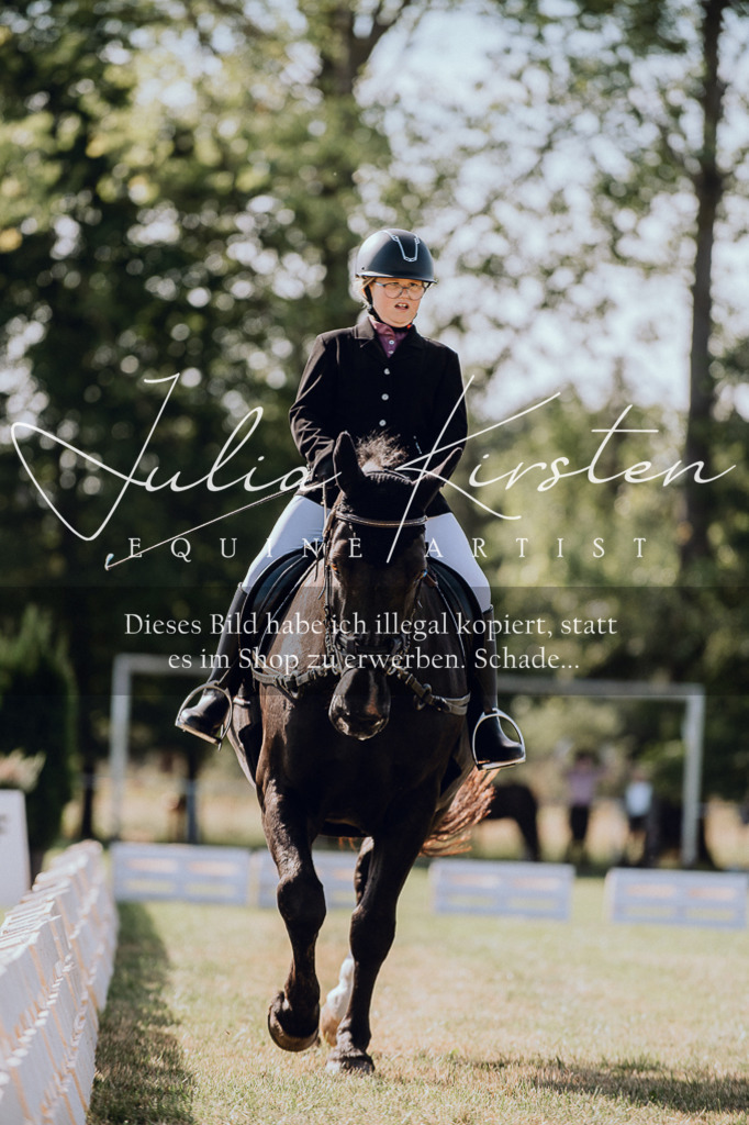 DSC_6924 | Pferde- und Turnierfotografie in Westsachsen. Pferdeportraits, Auftragszeichnungen und intuitive Kunst.