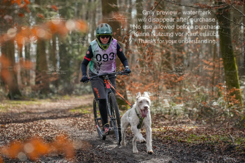 So_Scooter1-101 | stephaniefillaphotographie - Realisiert mit Pictrs.com