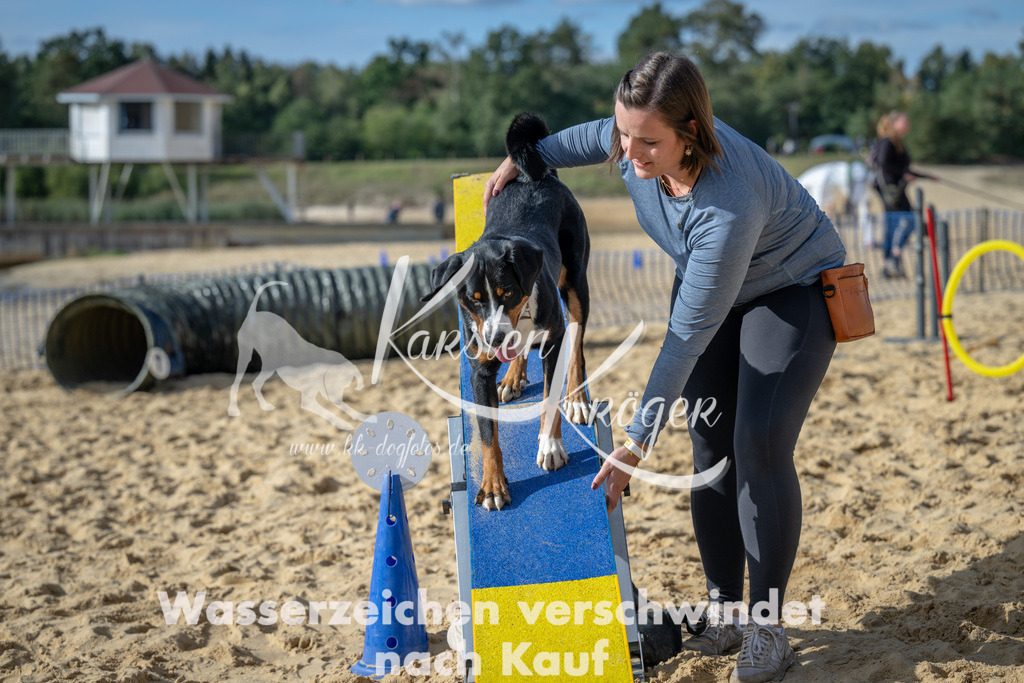 1442_ZZ91908 | kk-dogfotos