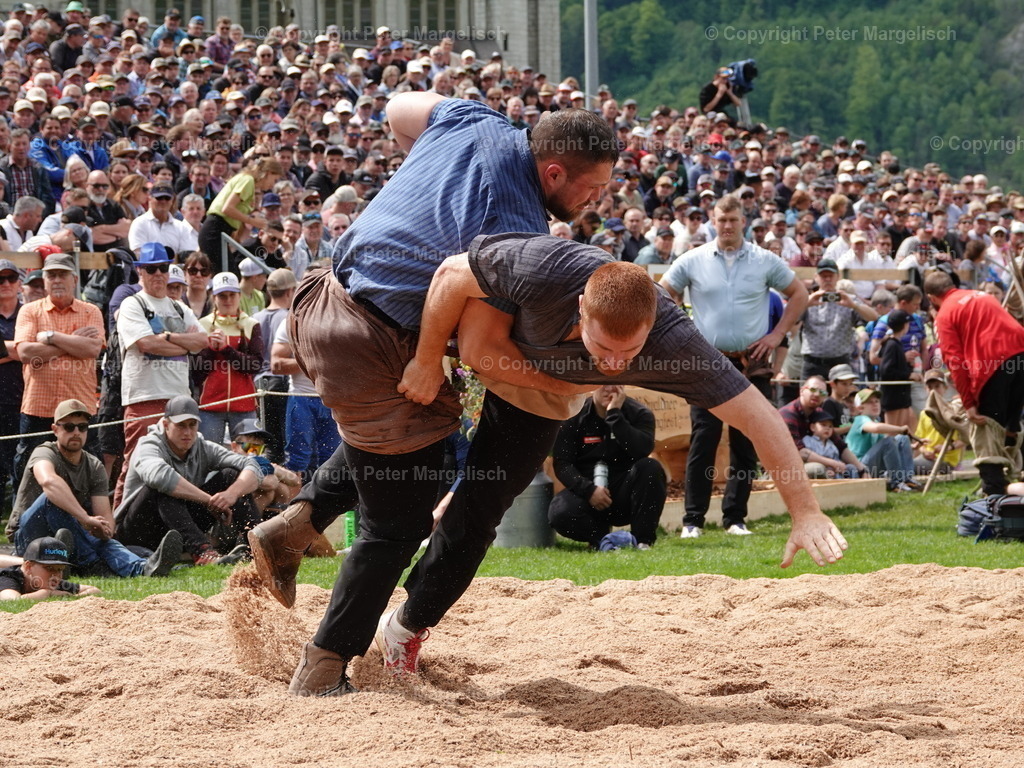 DSC07220 | Schwingen - Realisiert mit Pictrs.com