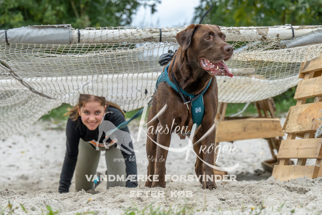 1033_ZZ94353 | kk-dogfotos