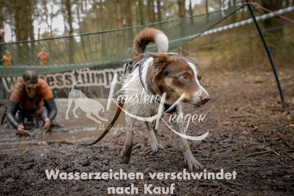 0922_ZZ97536 | kk-dogfotos