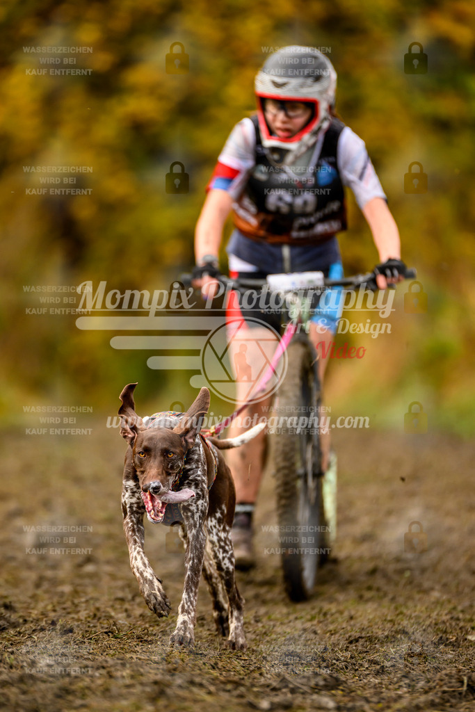 MompixPhotography_ICF_WC_2024_SA_DS_-160 | PayLife