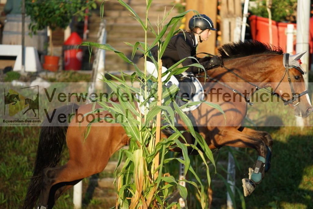 DSC02067 | equestrian-live-com