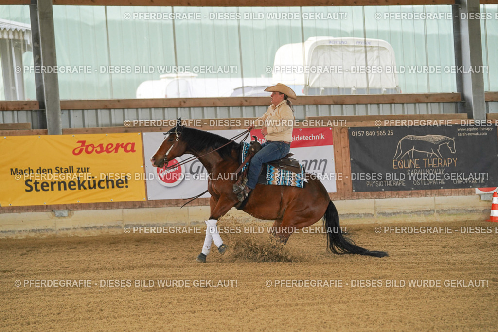 DSC07141 | Pferdegrafie