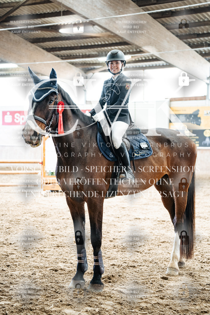 CK702918 | Turnierfotografie Pferdefotografie Trier Rheinland-Pfalz Pferdesport Reitsport Tierfotografie Sportfotografie Pferdevideo Pferdevideografie Equestrianvideography equestrianphotography  - Realisiert mit Pictrs.com
