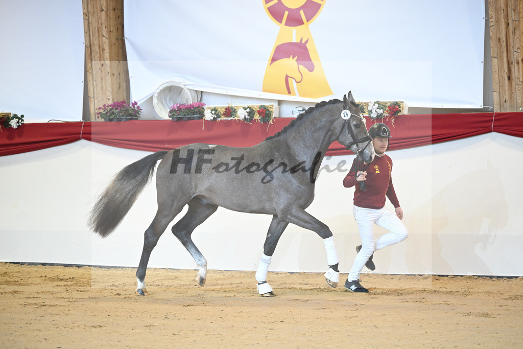 Kat-Nr. 24 Hickstead White_Zeil_1231180 | hf-fotografie - Realizzato con Pictrs.com
