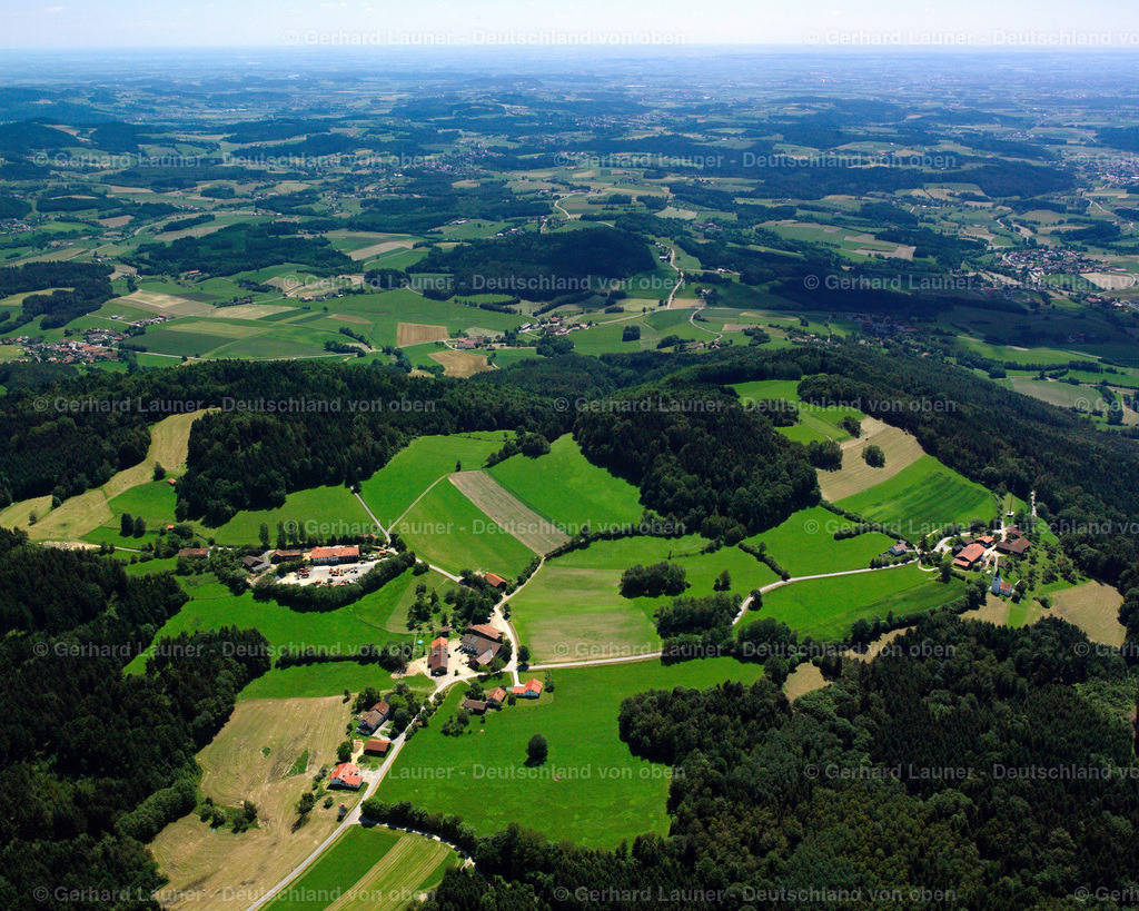 2519419 | Forsting, Konzell