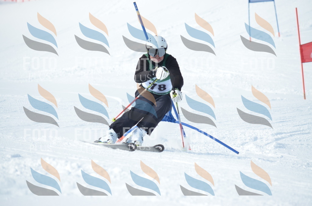 D8986 | holidayphoto