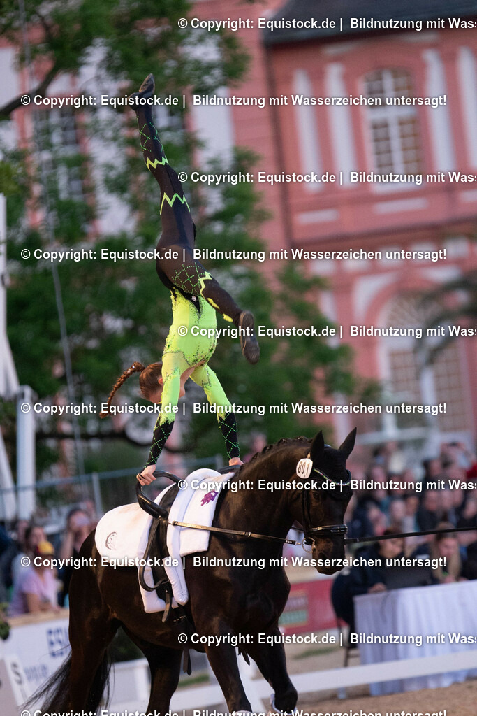 20230527_Voltigieren_NASPA_Flutlicht_0394 | equistock