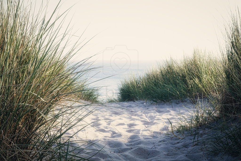 Zeeland Meerblick | Ein hinter Dünengras versteckter Blick auf das Meer in Zeeland - Realisiert mit Pictrs.com