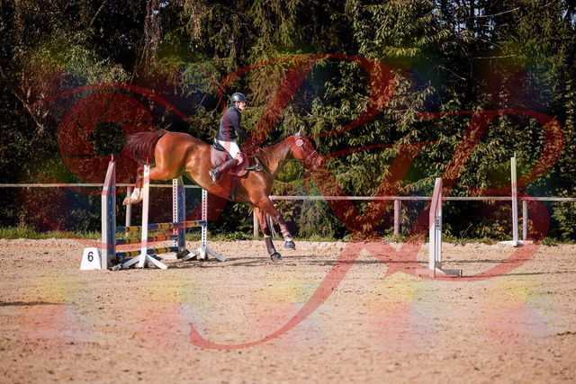 2026_10_03_Siefer-Hof_155630_Z81_76131679 | Professionelle Reitsport-, Turnier- und Eventfotografie von Robert Broda. Galerien mit ausgewählten und bearbeiteten Bildern direkt online ansehen und bestellen.
