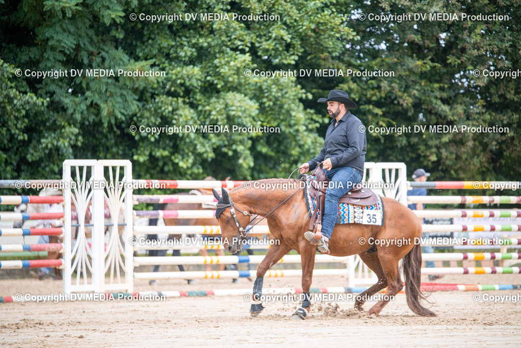 ZS3_5175 | dv-media-shop - Realisiert mit Pictrs.com