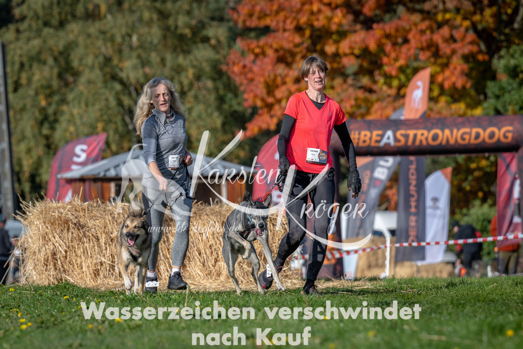 1030_ZZ90707 | kk-dogfotos