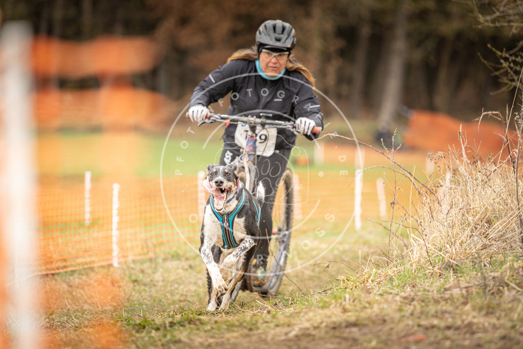 DV3A1503 | Hundefotografie, Tierfotograf, Pfotenfotografie, Fotoshooting Hund, Hunde Portrait, Hundesport, Hundeportraits, Heideshooting, Hunde, Sportfotograf, Hundefotograf, Turnierhundsport, THS,  - Realisiert mit Pictrs.com