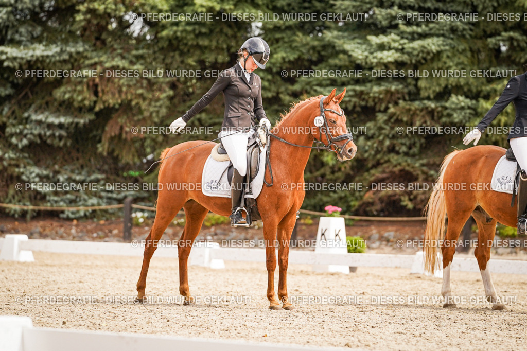 DSC02147 | Pferdegrafie