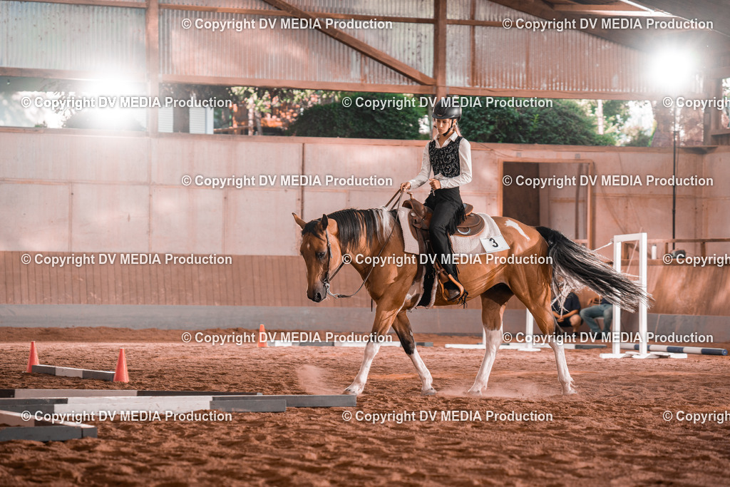 NE300076 | dv-media-shop - Realisiert mit Pictrs.com