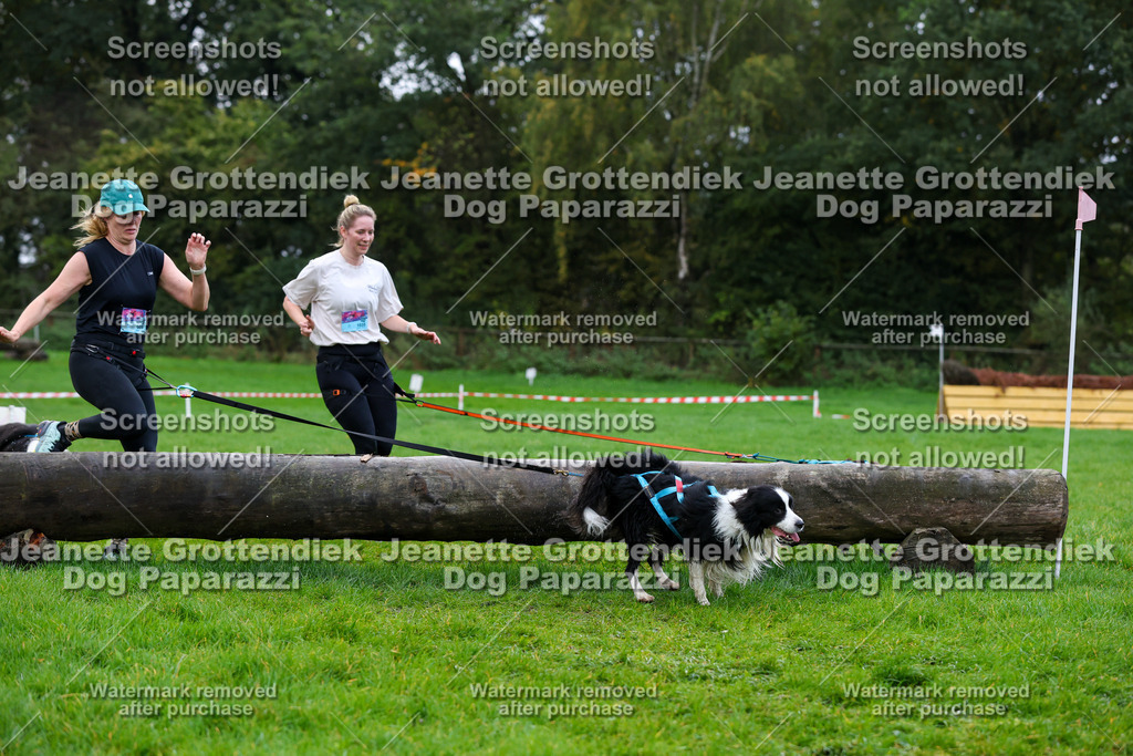 Dog Paparazzi -  SD1026-1305 | Dog Paparazzi Jeanette Grottendiek Fotografie & Videografie - Realisiert mit Pictrs.com