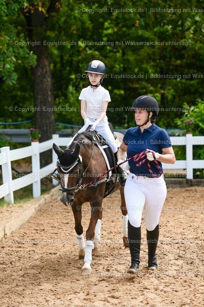 20230716_11_Führzügel-WB_0211 | equistock