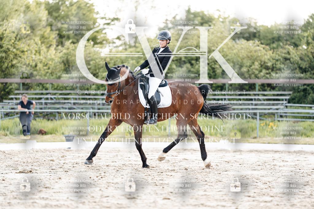 CK909815 | Turnierfotografie Pferdefotografie Trier Rheinland-Pfalz Pferdesport Reitsport Tierfotografie Sportfotografie Pferdevideo Pferdevideografie Equestrianvideography equestrianphotography  - Realisiert mit Pictrs.com