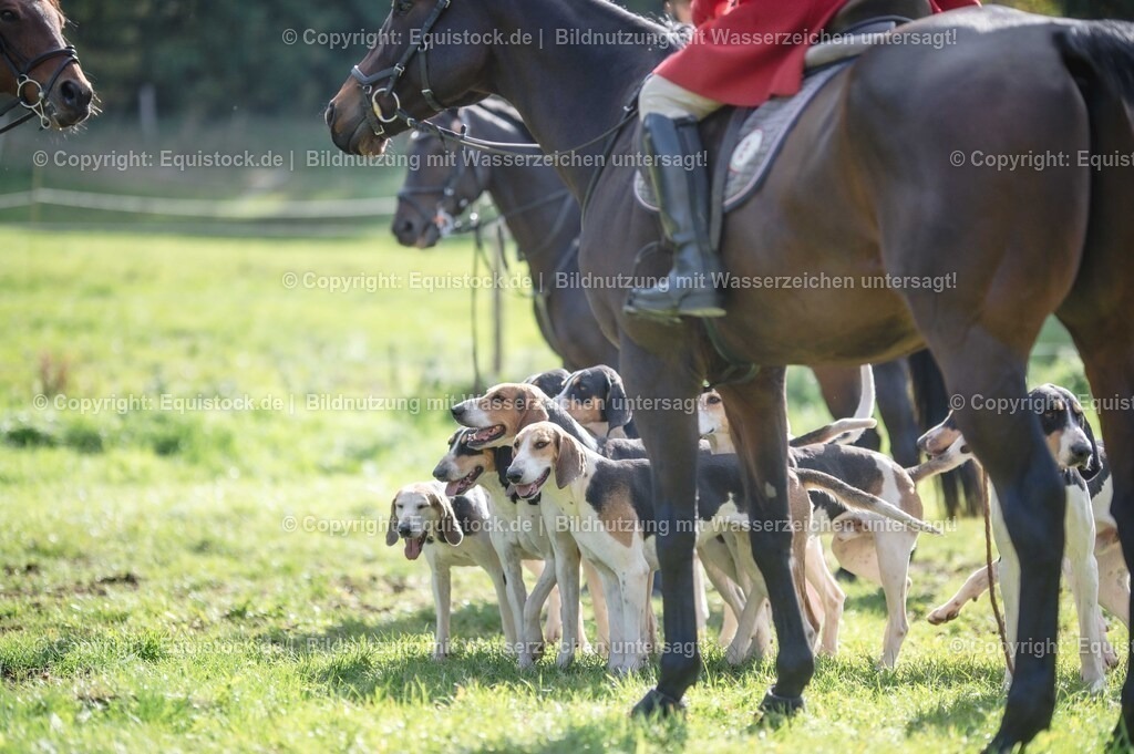 20251011_Jagd-Marbach_0145 | Foto: Thomas Hartig