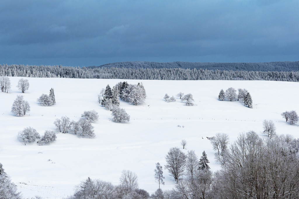 Landschaft im Winter im Thüringer Wald in der Nähe von Schmiedefeld am Rennsteig | Landschaft im Winter im Thüringer Wald in der Nähe von Schmiedefeld am Rennsteig.