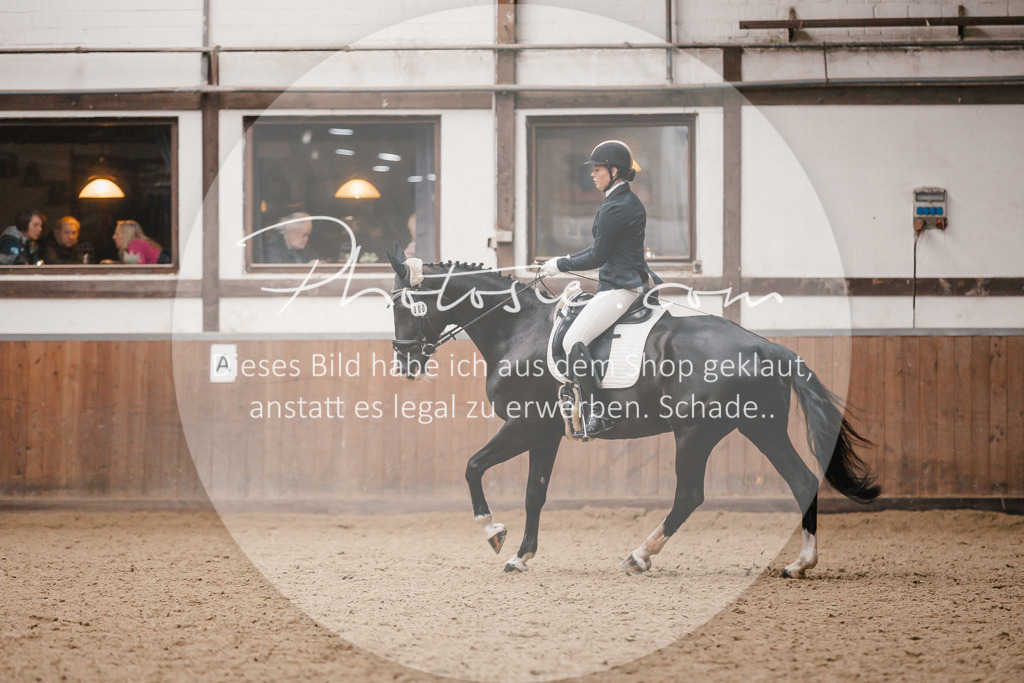 3I6A7877 | Stimmungsvolle Portraits und Reitsportfotografie im Ruhrgebiet und im Münsterland.

Pferdefotografie, Hundefotografie, Tierfotografie, Reportagen, Portraits von Tier und Mensch, Turnierfotografie in Bochum, Recklinghausen, Marl, Haltern am See, Dülmen.. - Realisiert mit Pictrs.com
