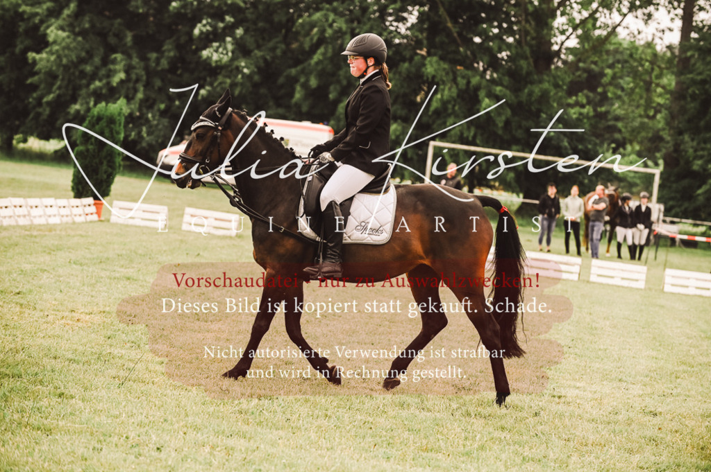 DSC_4905 | Pferde- und Turnierfotografie in Westsachsen. Pferdeportraits, Auftragszeichnungen und intuitive Kunst.