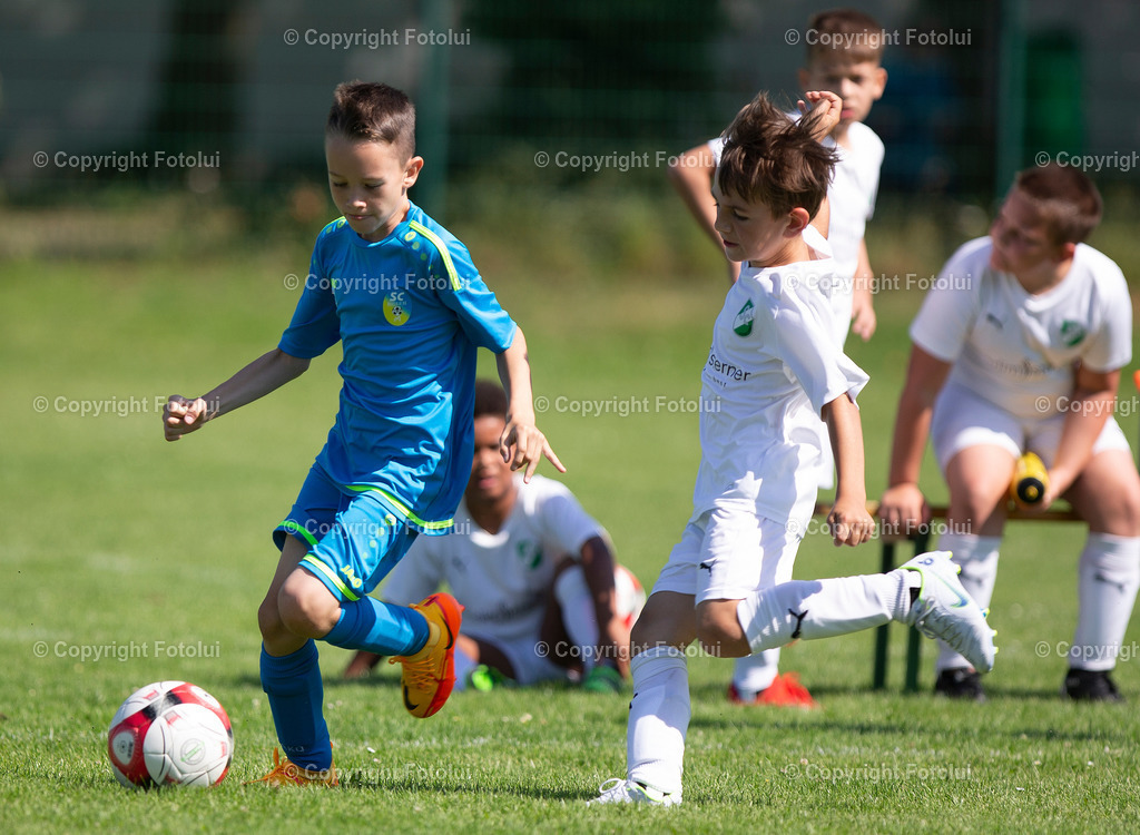 A_LUI_12062022_38 | bilder, linz, photo, foto, fussball, sport, fotolui, bundesliga