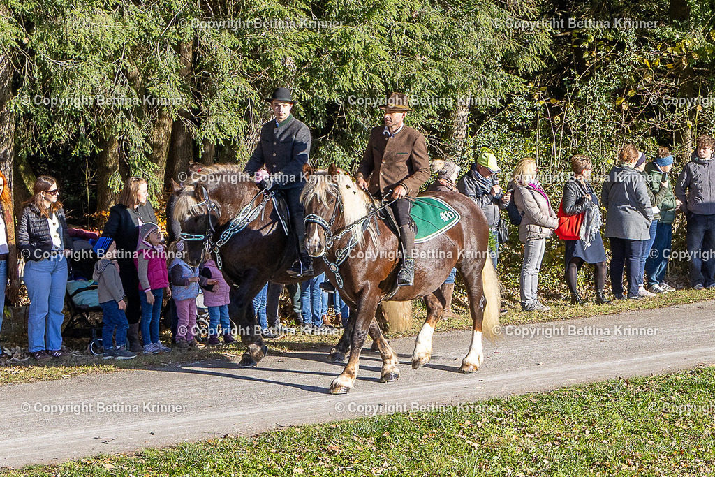 LBT25-266 | foto-bettina-krinner - Realisiert mit Pictrs.com