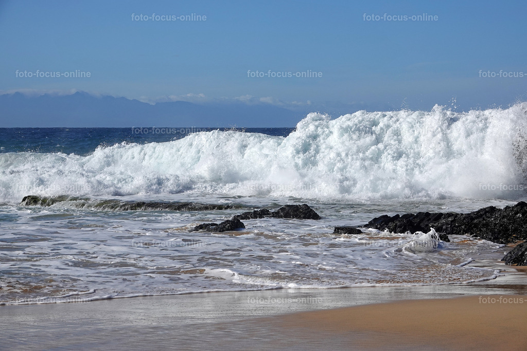 waves | Elemental power of the waves