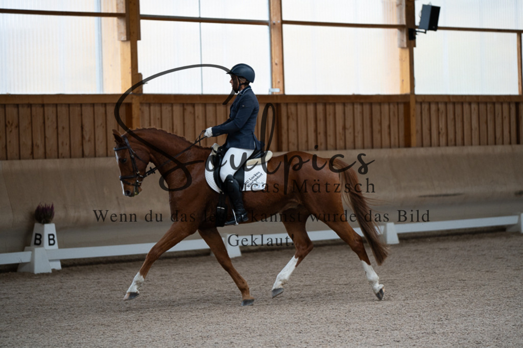 A7V02246 | Pferdefotograf