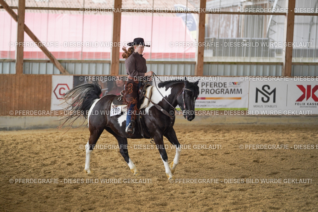 DSC04737 | Pferdegrafie