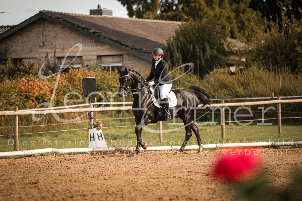 17.SoDrM00295 | Leoni Ertmer Photography - Realisiert mit Pictrs.com