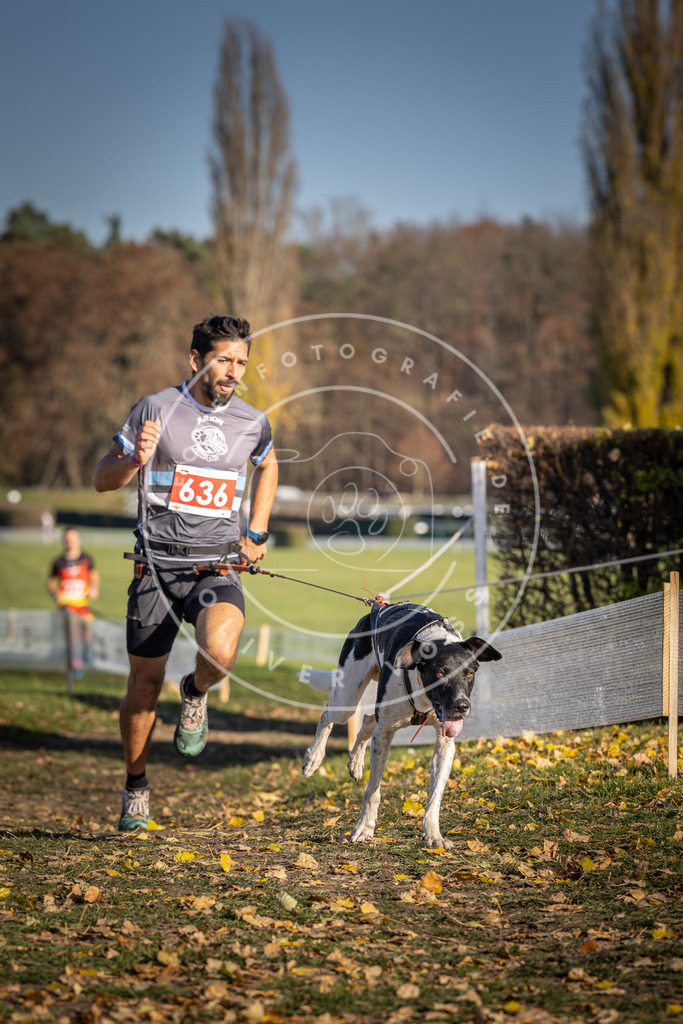 CaniXpix_DV3A0221 | Hundefotografie, Tierfotograf, Pfotenfotografie, Fotoshooting Hund, Hunde Portrait, Hundesport, Hundeportraits, Heideshooting, Hunde, Sportfotograf, Hundefotograf, Turnierhundsport, THS,  - Realisiert mit Pictrs.com