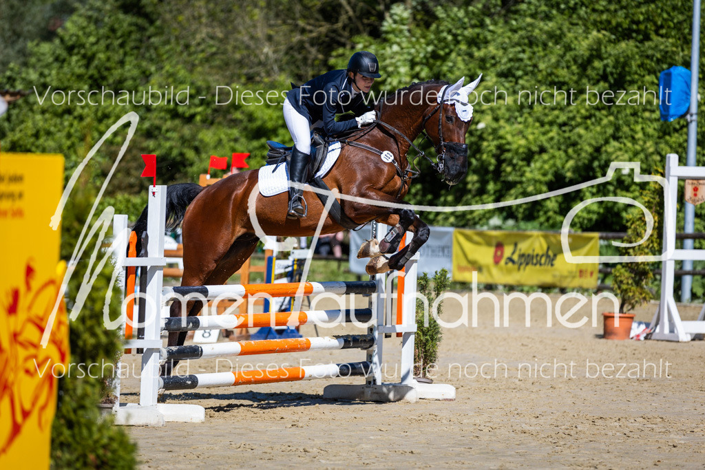 Donop24-A2Spr-142 | MomenTaufnahmen Pferdesportfotos