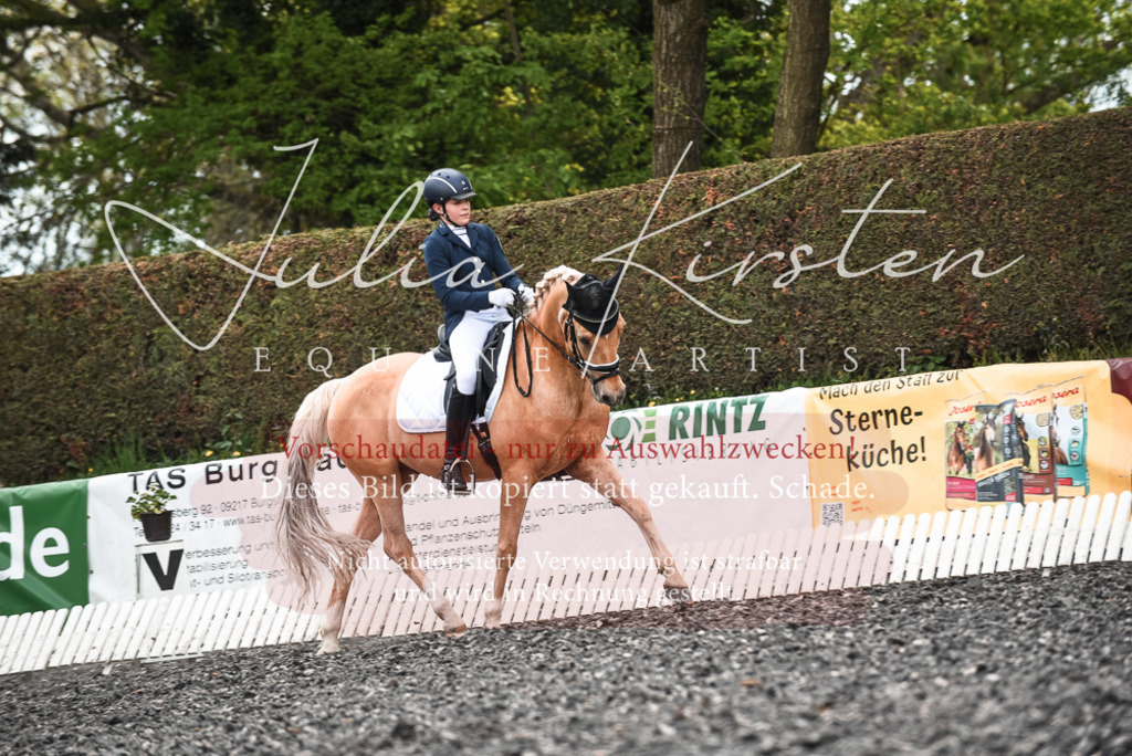 20230514_JK-Röhrsdorf-24-410 | Pferde- und Turnierfotografie in Westsachsen. Pferdeportraits, Auftragszeichnungen und intuitive Kunst.