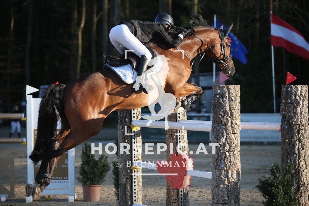 PP016484 | Willkommen bei Brunnmayr - Design & Fotografie – Ihrem Spezialisten für Reitturniere und Pferdeveranstaltungen in Oberösterreich, Salzburg und Bayern! Seit über 17 Jahren sind wir leidenschaftlich dabei.