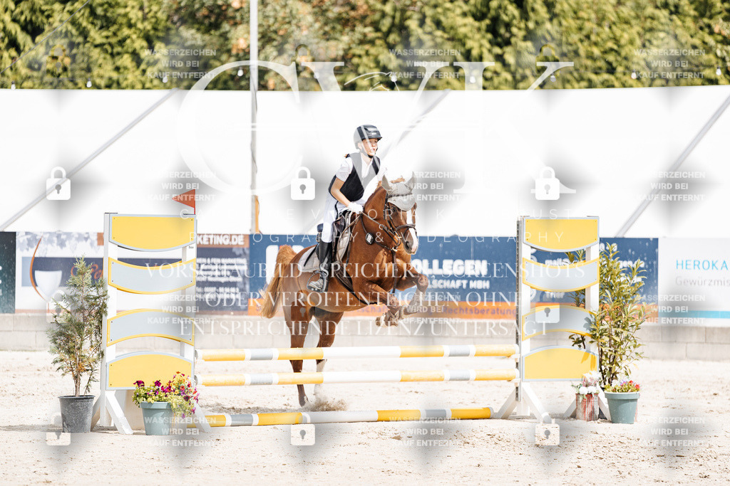 CK906550 | Turnierfotografie Pferdefotografie Trier Rheinland-Pfalz Pferdesport Reitsport Tierfotografie Sportfotografie Pferdevideo Pferdevideografie Equestrianvideography equestrianphotography  - Realisiert mit Pictrs.com