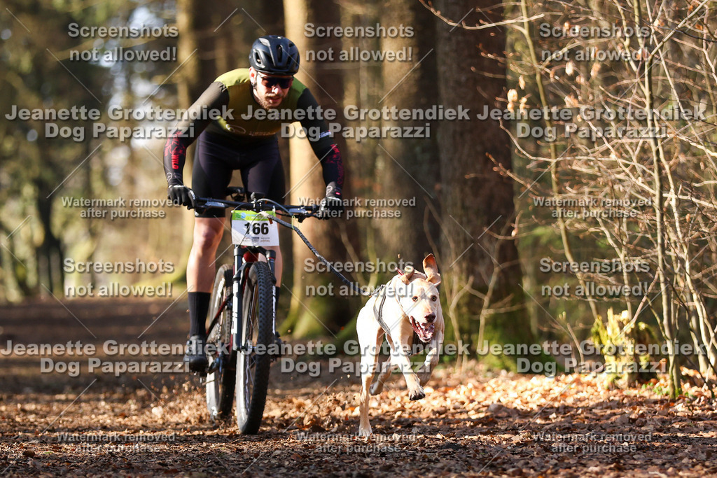 Dog Paparazzi - VCC26-920 | Dog Paparazzi Jeanette Grottendiek Fotografie & Videografie - Realisiert mit Pictrs.com