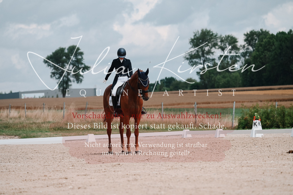 DSC_4237 | Pferde- und Turnierfotografie in Westsachsen. Pferdeportraits, Auftragszeichnungen und intuitive Kunst.